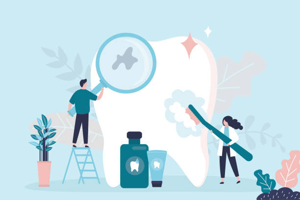 Professional  Holistic Dental Services in Homer Glen, IL